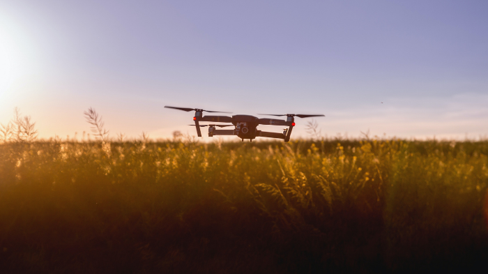 AI-based drones monitor crops 