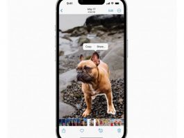 How to select, copy and share objects from photos in iOS 16